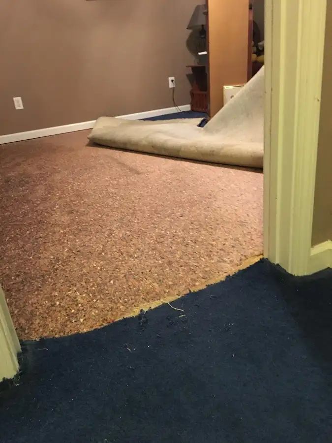 Carpet pad removal revealing water damage during Water Mitigation Services in North Fort Myers